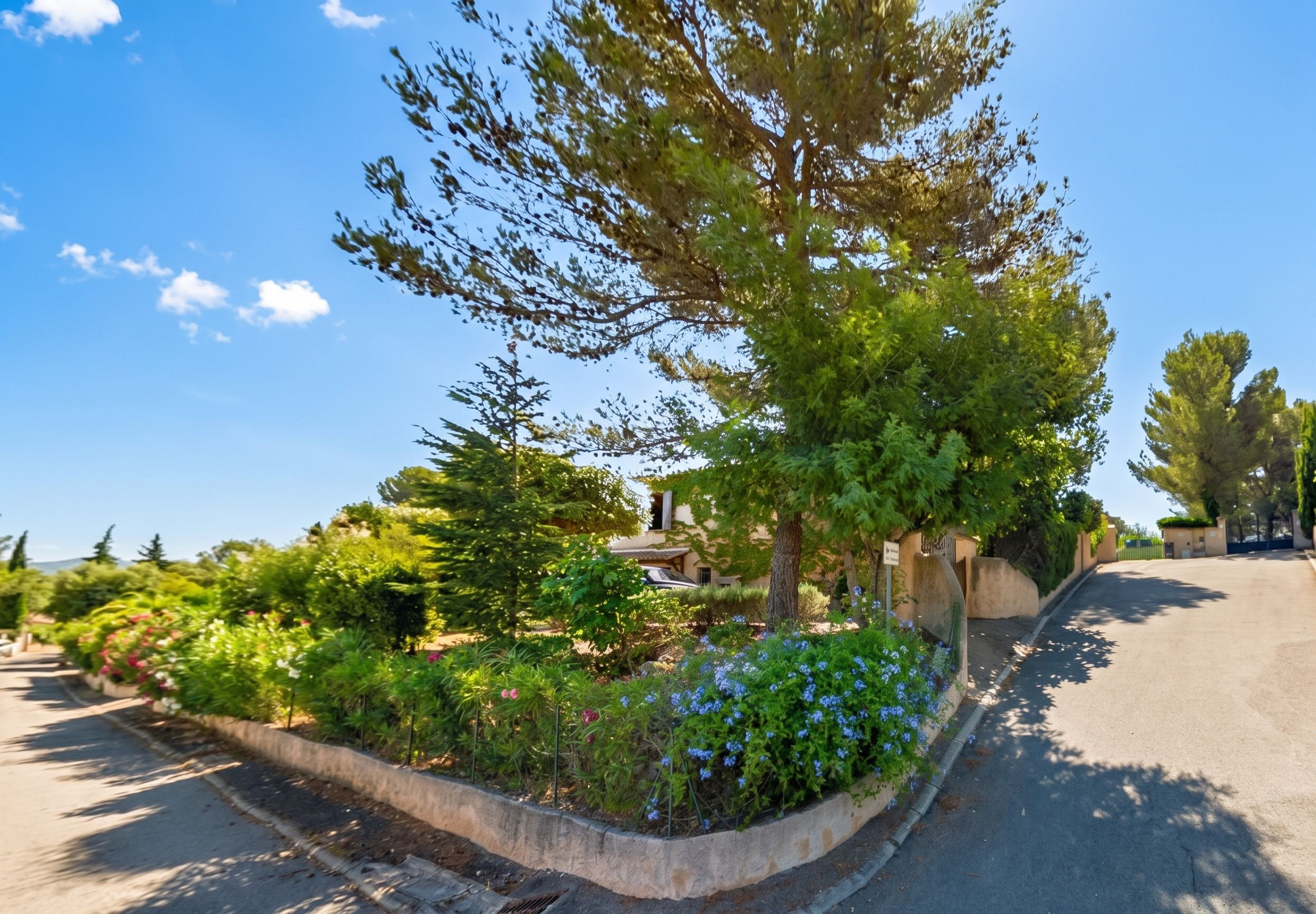 A landscaped garden with a variety of trees and shrubs, a paved walkway, and a building with a sign.