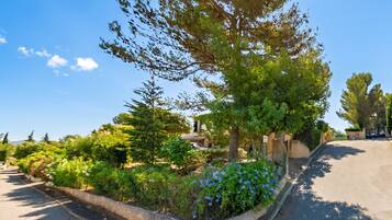 A landscaped garden with a variety of trees and shrubs, a paved walkway, and a building with a sign.