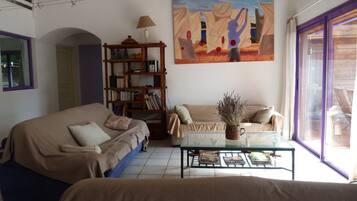 Télévision, lecteur de DVD, table de tennis de table, livres