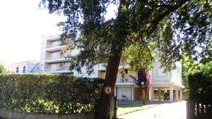 A building with a white facade, multiple balconies, and a tree in the foreground.