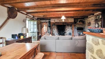 TV, fireplace, DVD player, stereo