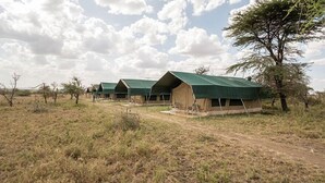 A series of safari tents with green roofs, arranged in a row in a dry grassland with sparse trees. - Serengeti Wild Camps (Serengeti)