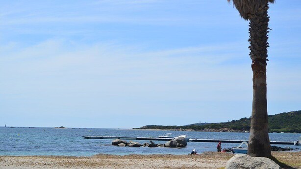 A beach with a palm tree, rocky shore, calm sea, and boats. - MINI-VILLA SAINT CYPRIEN C20- 3***-QUIET (Saint-Cyprien Lecci)