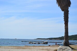 Une plage avec un palmier, un rivage rocheux, une mer calme et des bateaux.