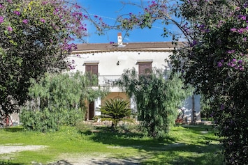 Front view