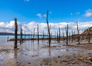 A beach with driftwood and rocks, a clear sky, and a calm sea in the background.