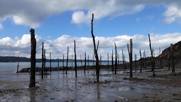 Una playa con postes de madera, piedras y un cielo despejado.