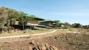 A series of eco-friendly cabins with green roofs, surrounded by dry grassland and sparse trees.