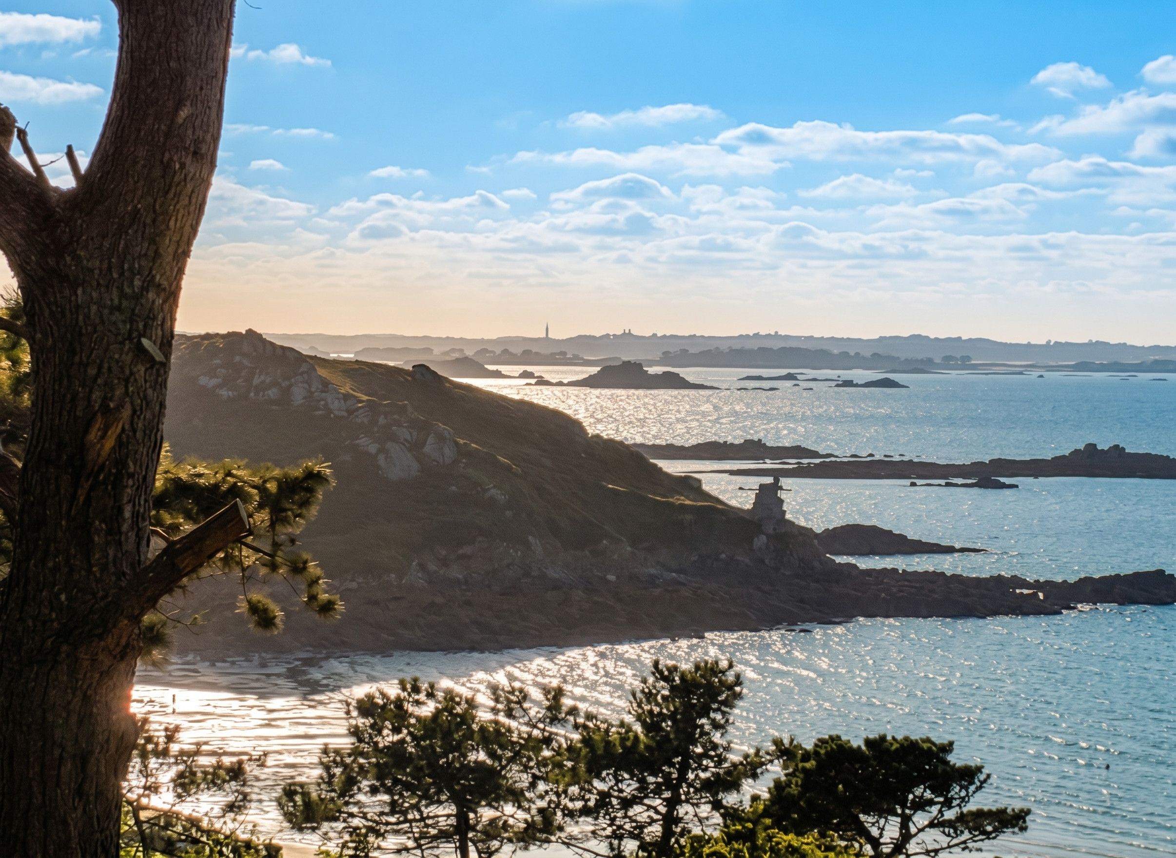 A coastal landscape with a prominent tree trunk in the foreground, a rocky shoreline, and a distant view of a city skyline.