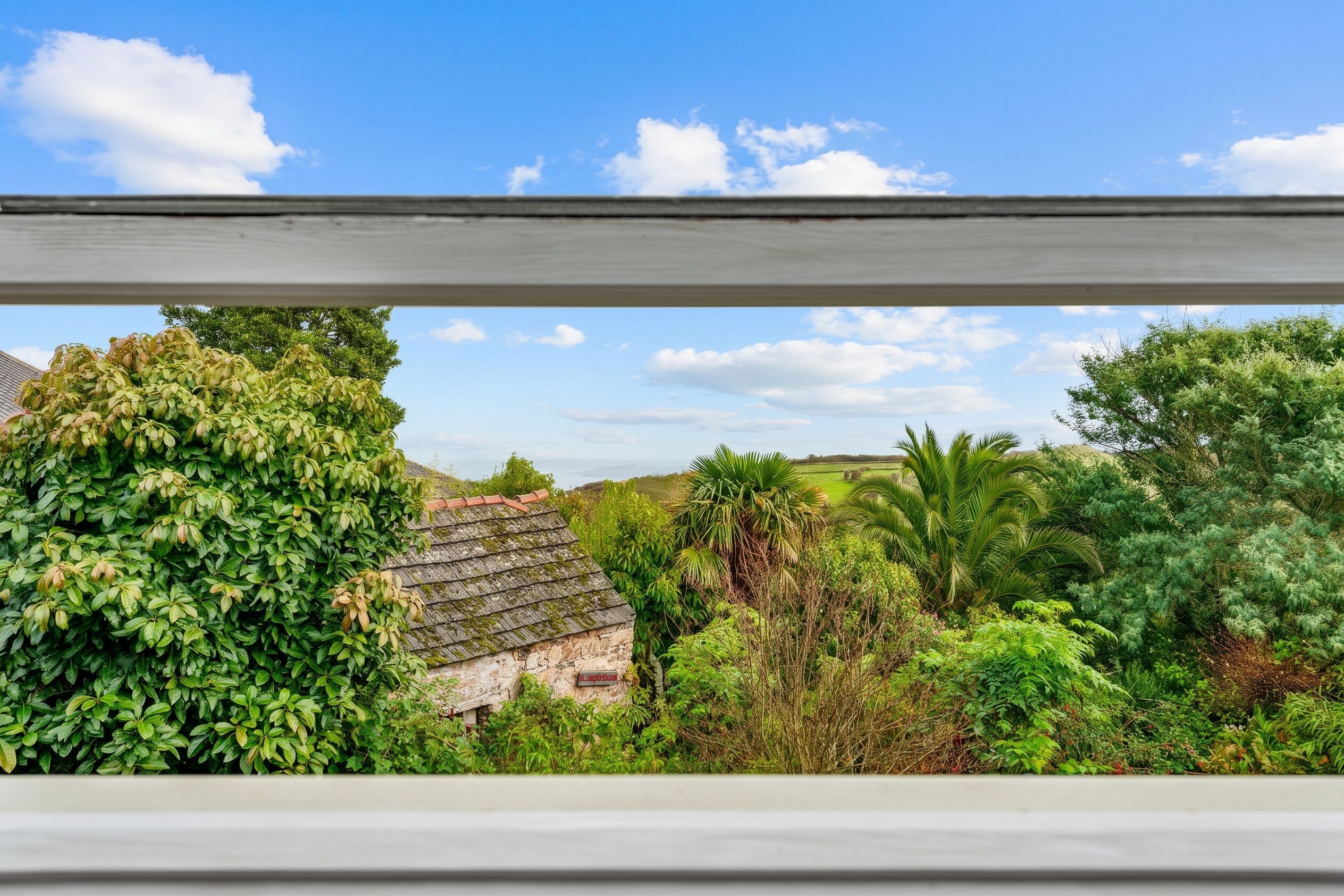 Garden view