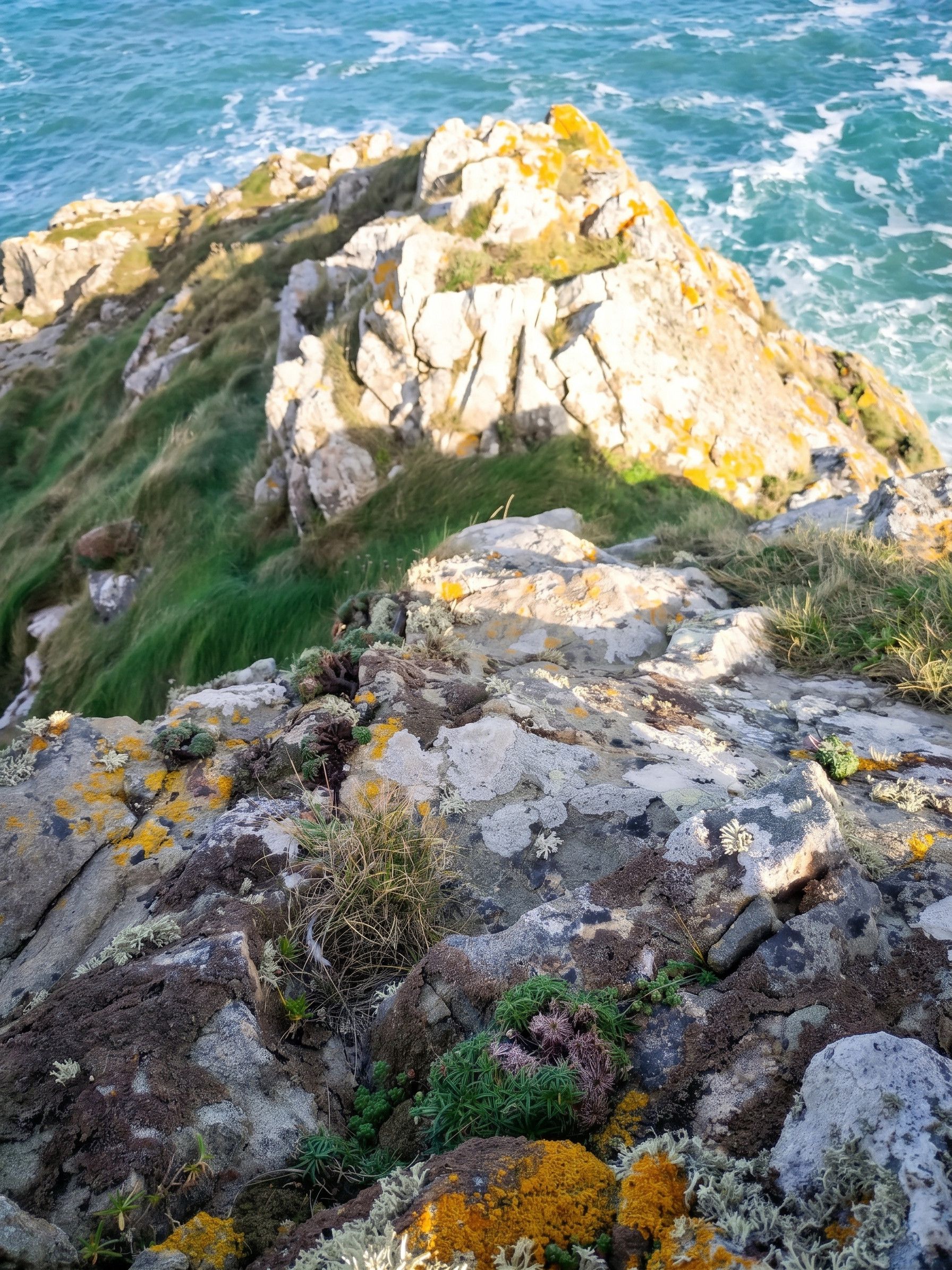 A rocky coastal landscape with visible vegetation and sea in the background.