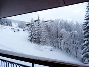 A snowy landscape with trees and a building in the background.