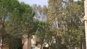 Une cour intérieure avec des arbres et un bâtiment.