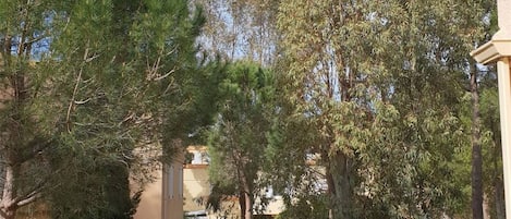 Parco della struttura