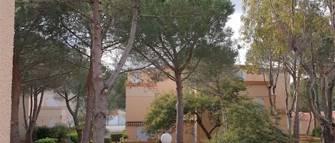 Un patio con árboles, una farola y un edificio de fachada color crema.