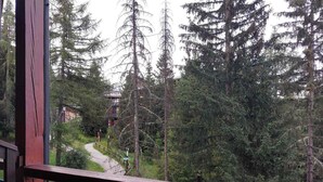 Une zone boisée avec un sentier menant à un bâtiment.
