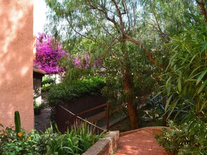 Property grounds - Studio cabin with A/C, parking and loggia - Banyuls-sur-Mer (Banyuls-sur-Mer)