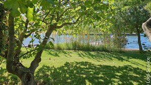 Un parc avec une zone herbeuse, des arbres et une étendue d’eau en arrière-plan.