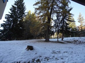 A snowy forest with tall evergreen trees and a clear sky. - Ski-in/ski-out studio for 4 at Charvet, Arc 1800 (Les Arcs 1800)