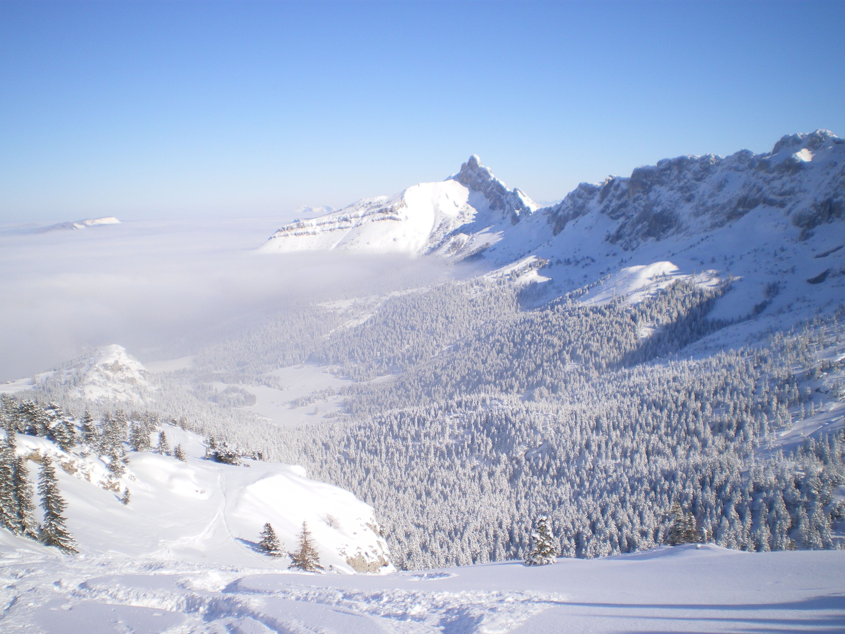 A snow-covered mountain landscape with dense forests and a clear sky.