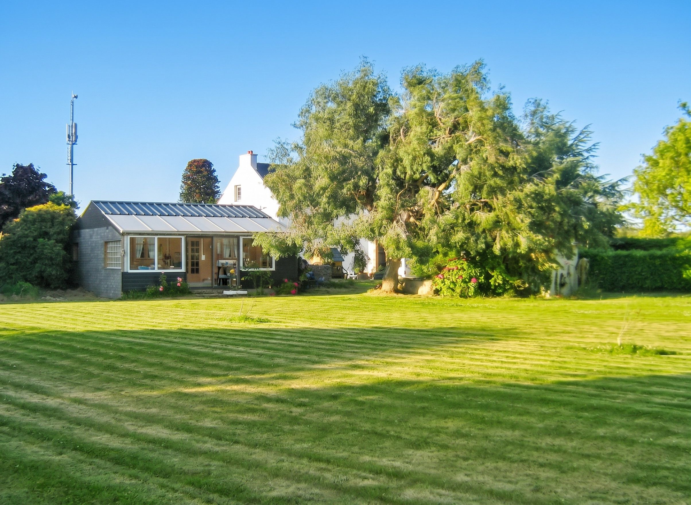 Et hus med en græsplæne foran, en klar himmel og et højt træ.
