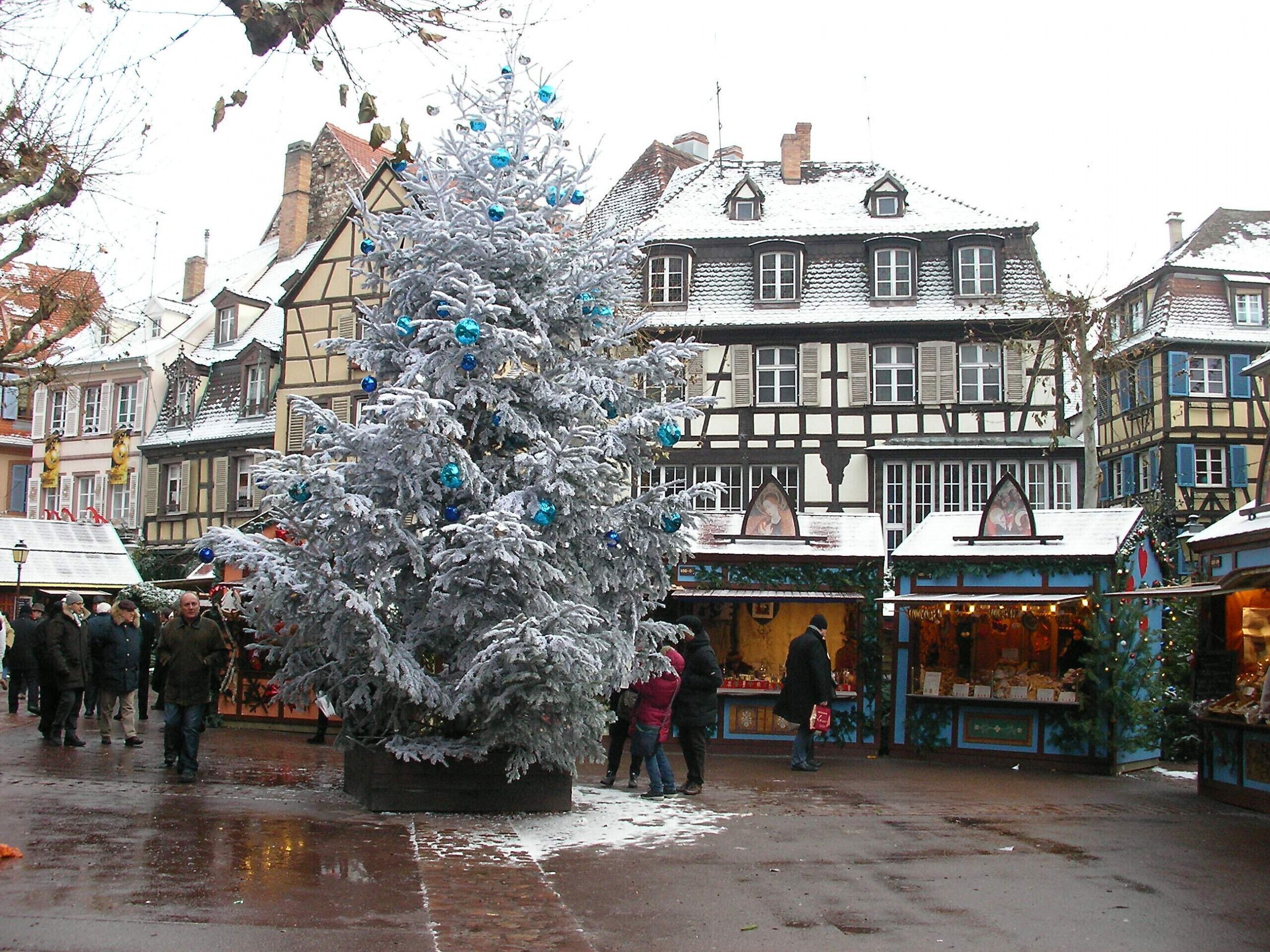 A traditional European town square with a prominent snow-covered Christmas tree, historic buildings, and wet cobblestone streets.