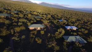 An aerial view of a remote, forested area with several small, modern cabins with green roofs. - Ngorongoro Wild Camps (Ngorongoro)