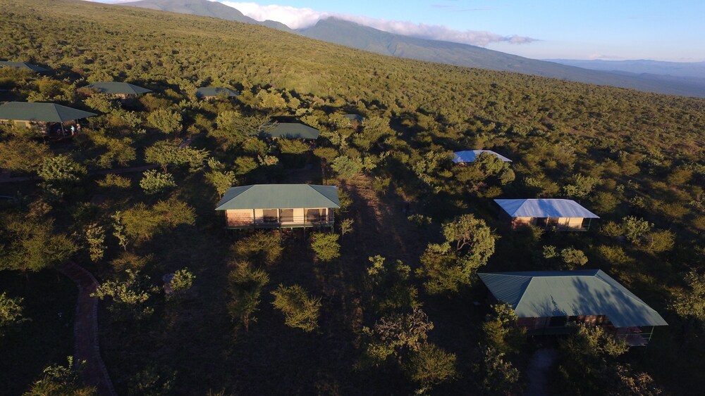 Ngorongoro Wild Camp by null
