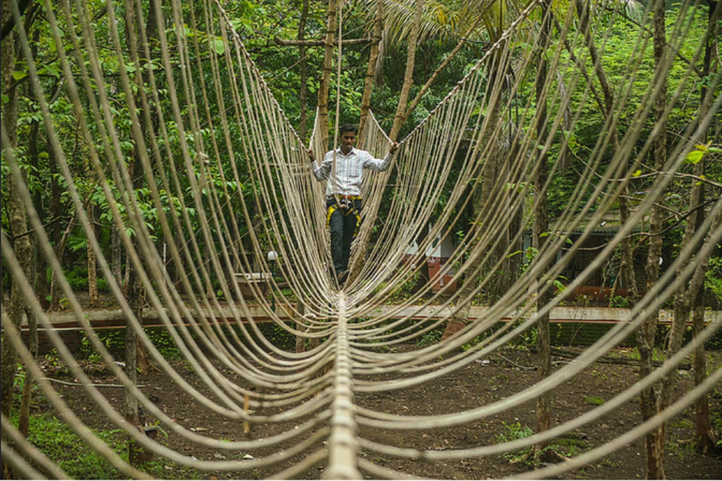 A person walking on a rope bridge in a forested area.