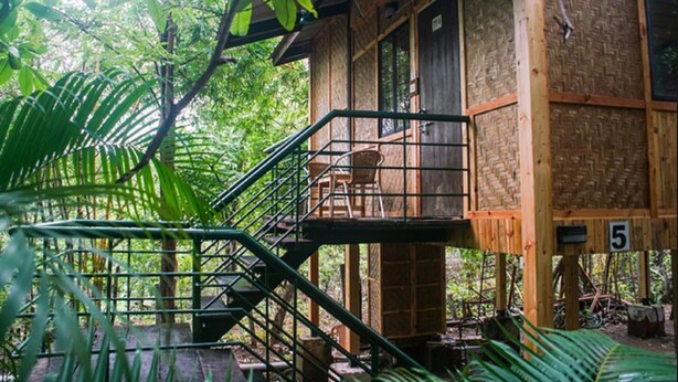 A wooden cabin with a balcony and a staircase leading to an upper level. - Nature Trails Sajan, Vikramgad (Vikramgadh)