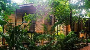 A rustic building with a wooden exterior, surrounded by lush greenery and a paved pathway. - Nature Trails Sajan, Vikramgad (Vikramgadh)
