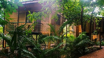 Tree Top Rooms	 | View from room