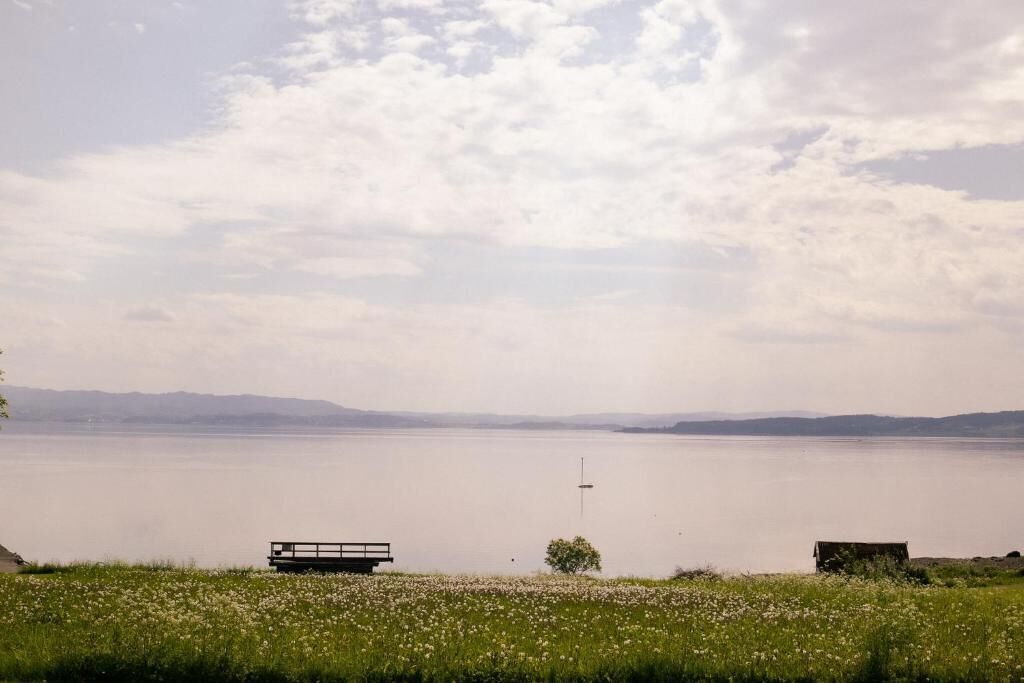 A calm lake with a bench and a small structure on the shore.