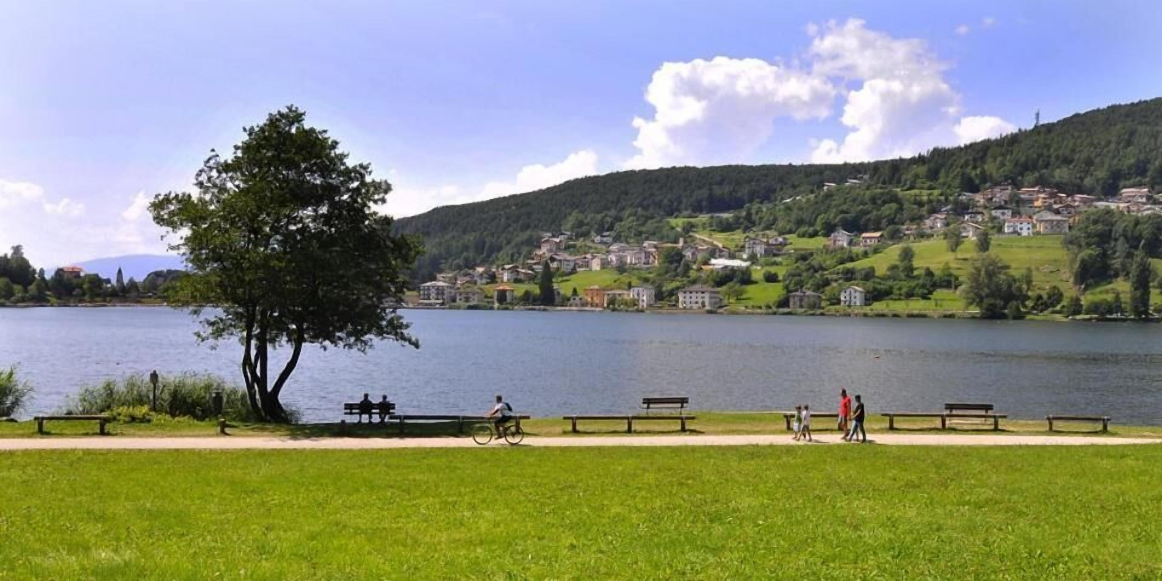 A lakeside park with benches, a tree, and a path.