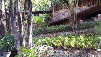 A garden with various plants and trees, a wooden structure with a colorful tiled wall, and a metal railing.