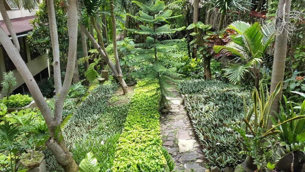 Photo - Centro Bajo Hotel & Resto