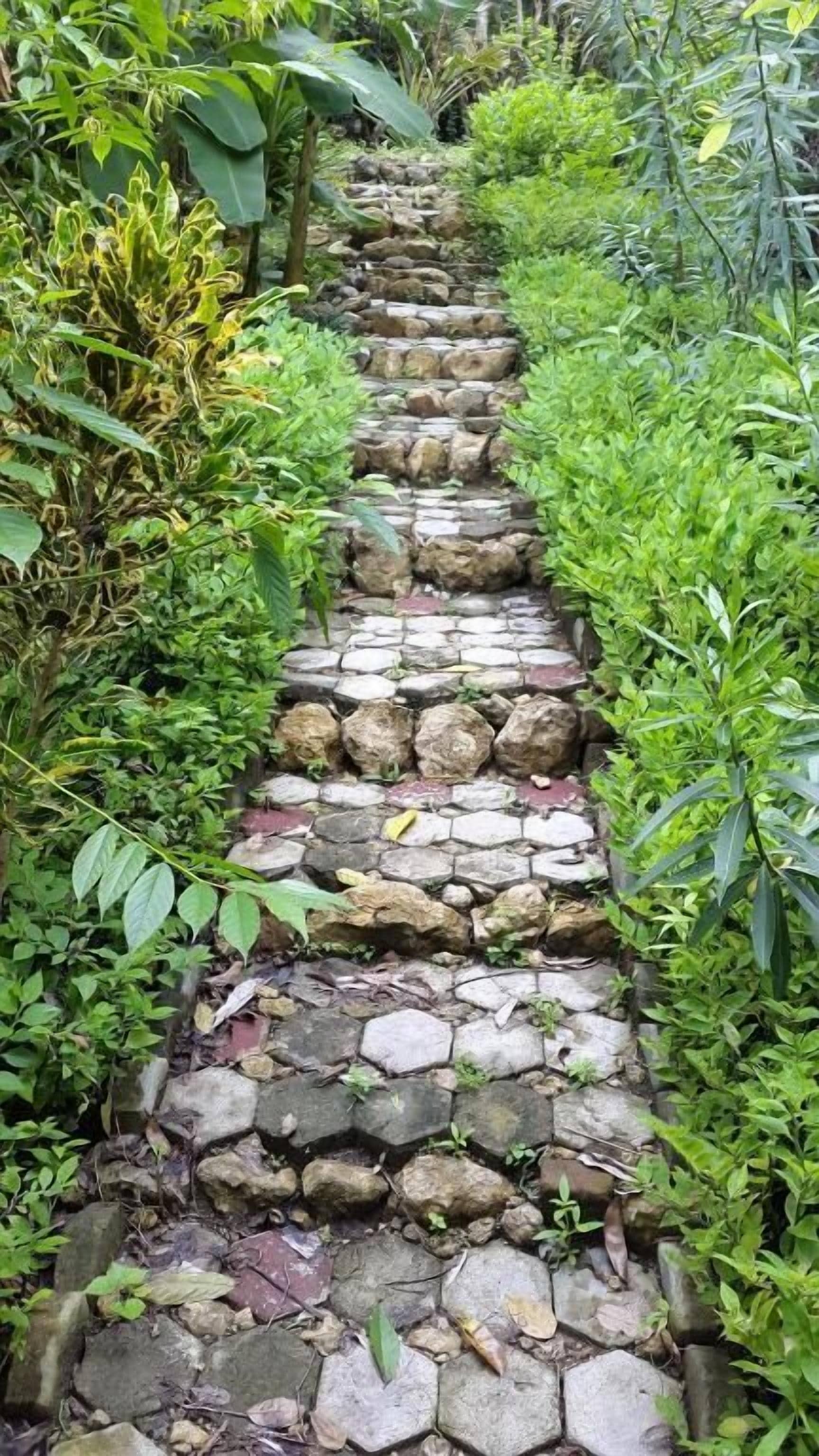 A stone pathway flanked by lush greenery, leading through a garden or park area.