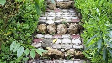 A stone pathway flanked by lush greenery, leading through a garden or park area.