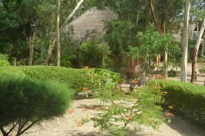 Property grounds - Djidjack (Fatick)