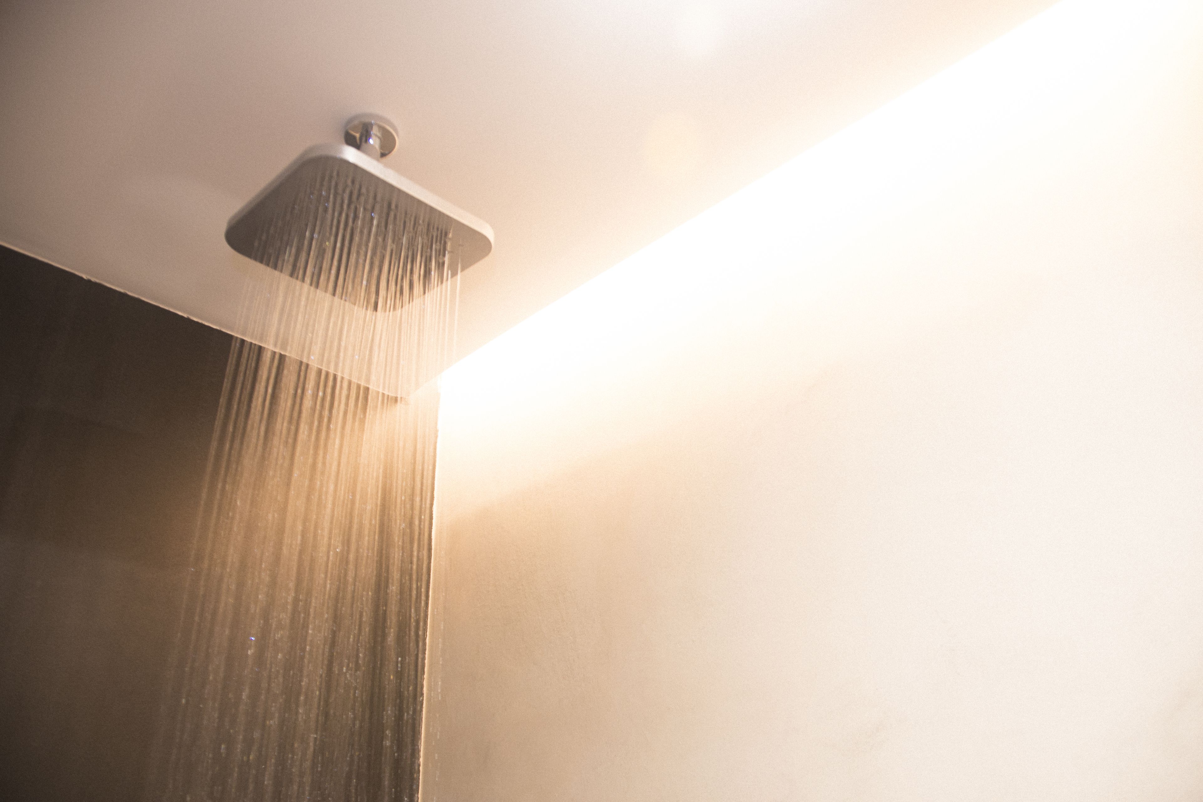 Foto - Welldone Antiquarium