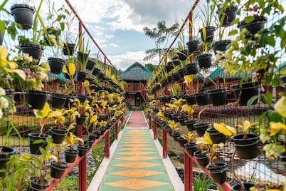 Your Brothers House Tribal Village