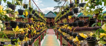 Your Brothers House Tribal Village
