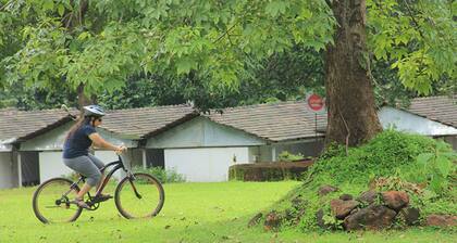Nature Trails Kundalika, Kolad
