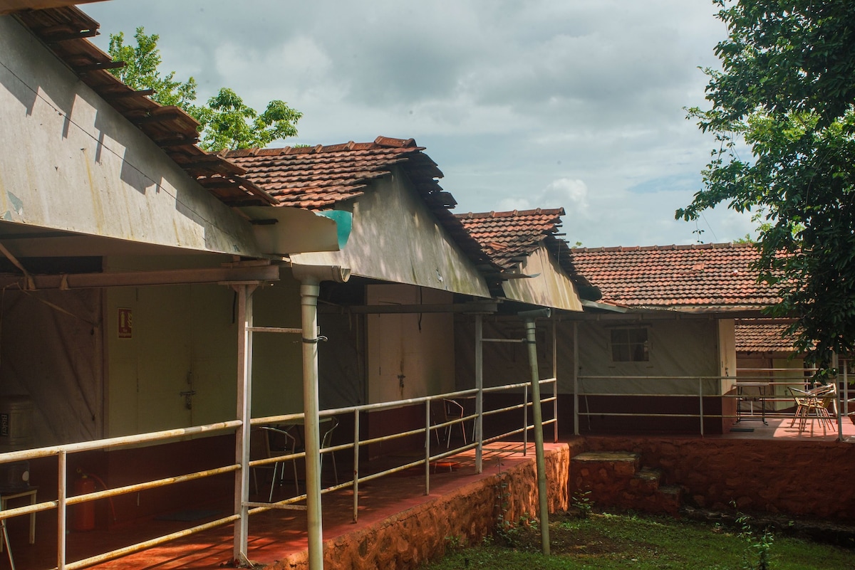 Nature trails, kolad — image 4 of 5