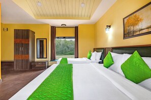 River View AC Room