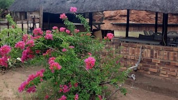 المنطقة المحيطة بالمنشأة