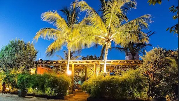 A well-lit outdoor area with palm trees and a covered structure, likely a garden or patio area. - Hotel Pousada Ourinhos (Ourinhos)