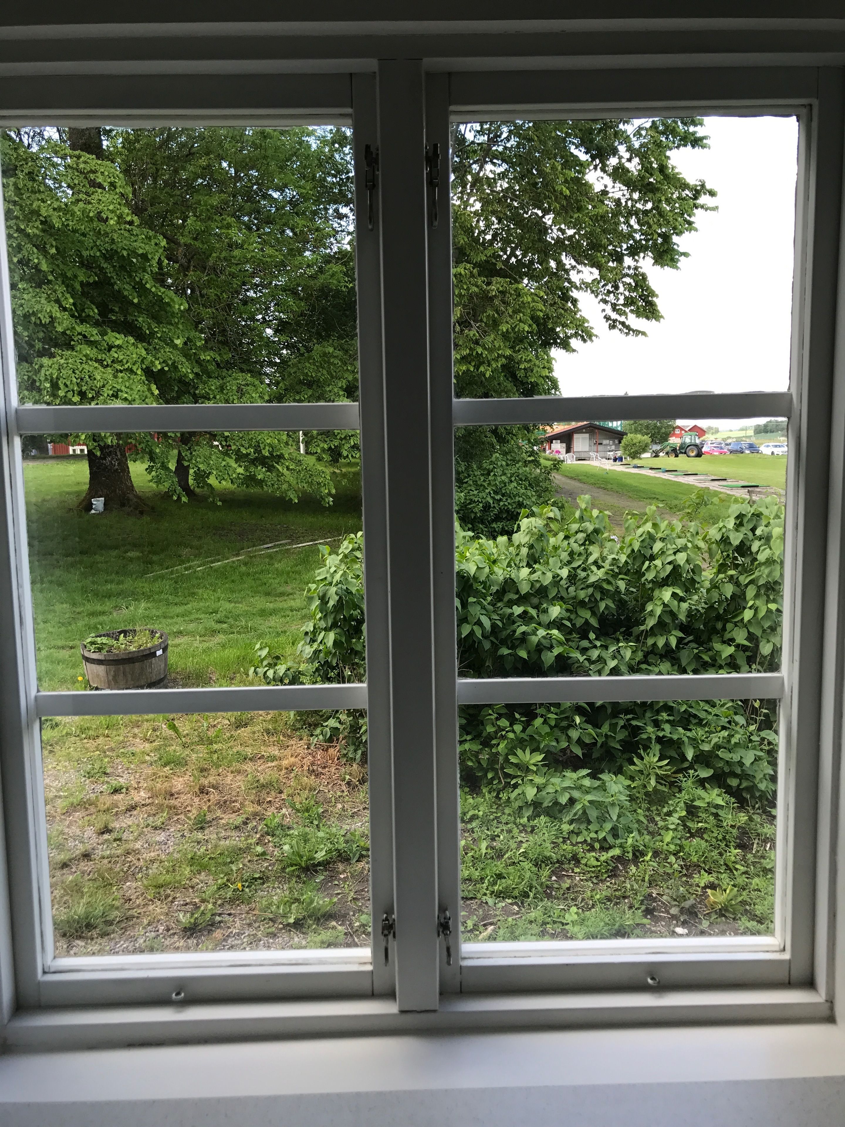 En vy genom ett fönster med metallram, som visar en gräsyta med träd och en byggnad i bakgrunden.