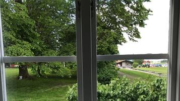En vy genom ett fönster med metallram, som visar en gräsyta med träd och en byggnad i bakgrunden.