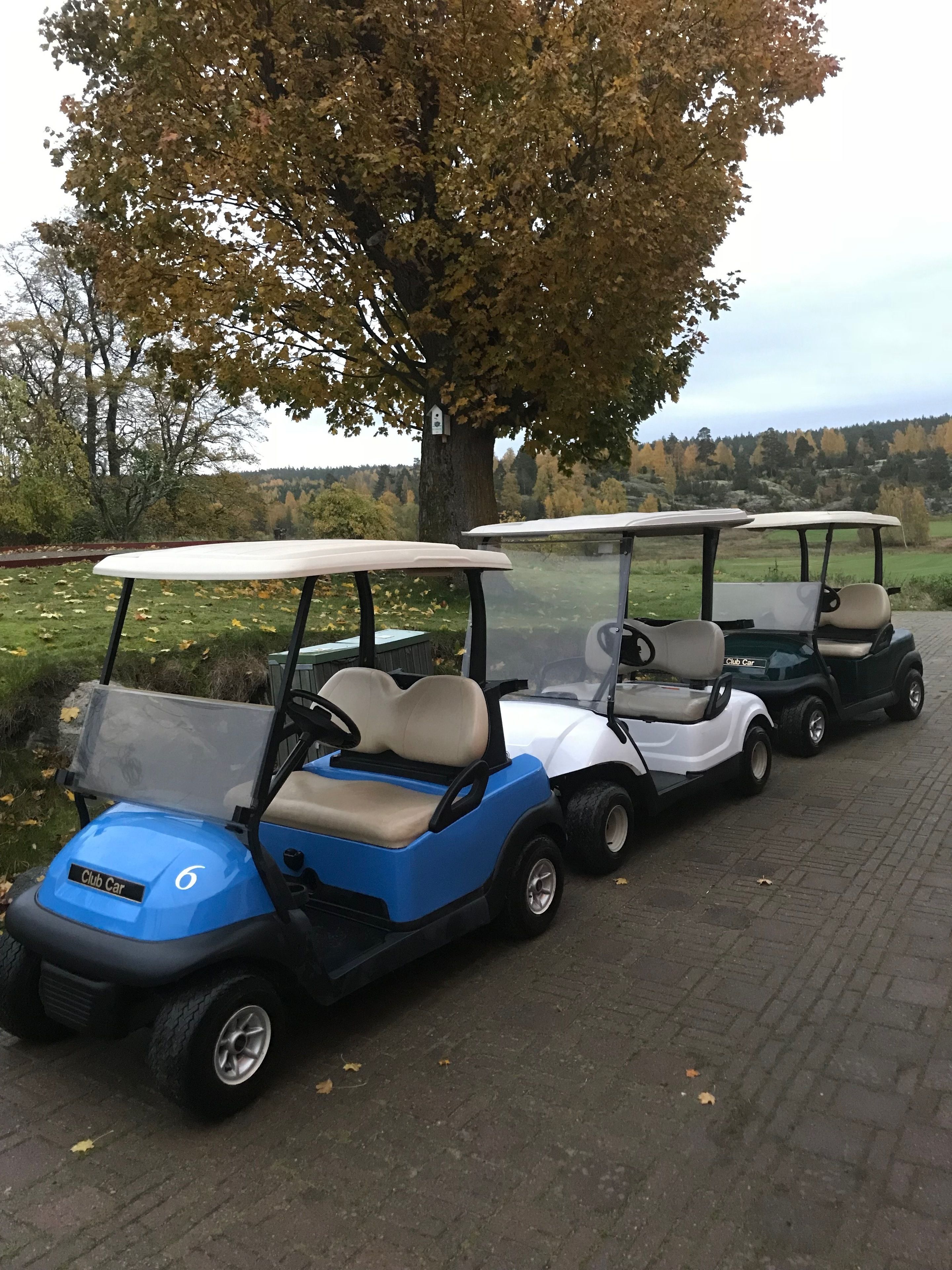 Tres carros de golf estacionats sobre una zona pavimentada, amb un gran arbre al fons.